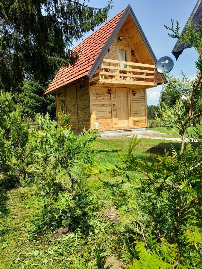 Tisina Tare Villa Bajina Basta Ngoại thất bức ảnh